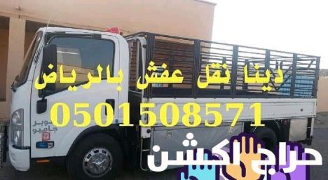 دينا نقل عفش شمال الرياض 0501508571
