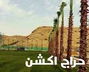 نخل واشنطن