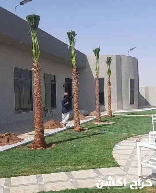 نخل واشنطن