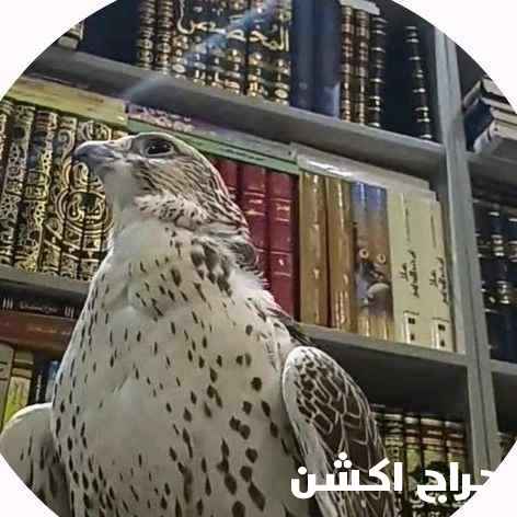 رقم مميز للبيع