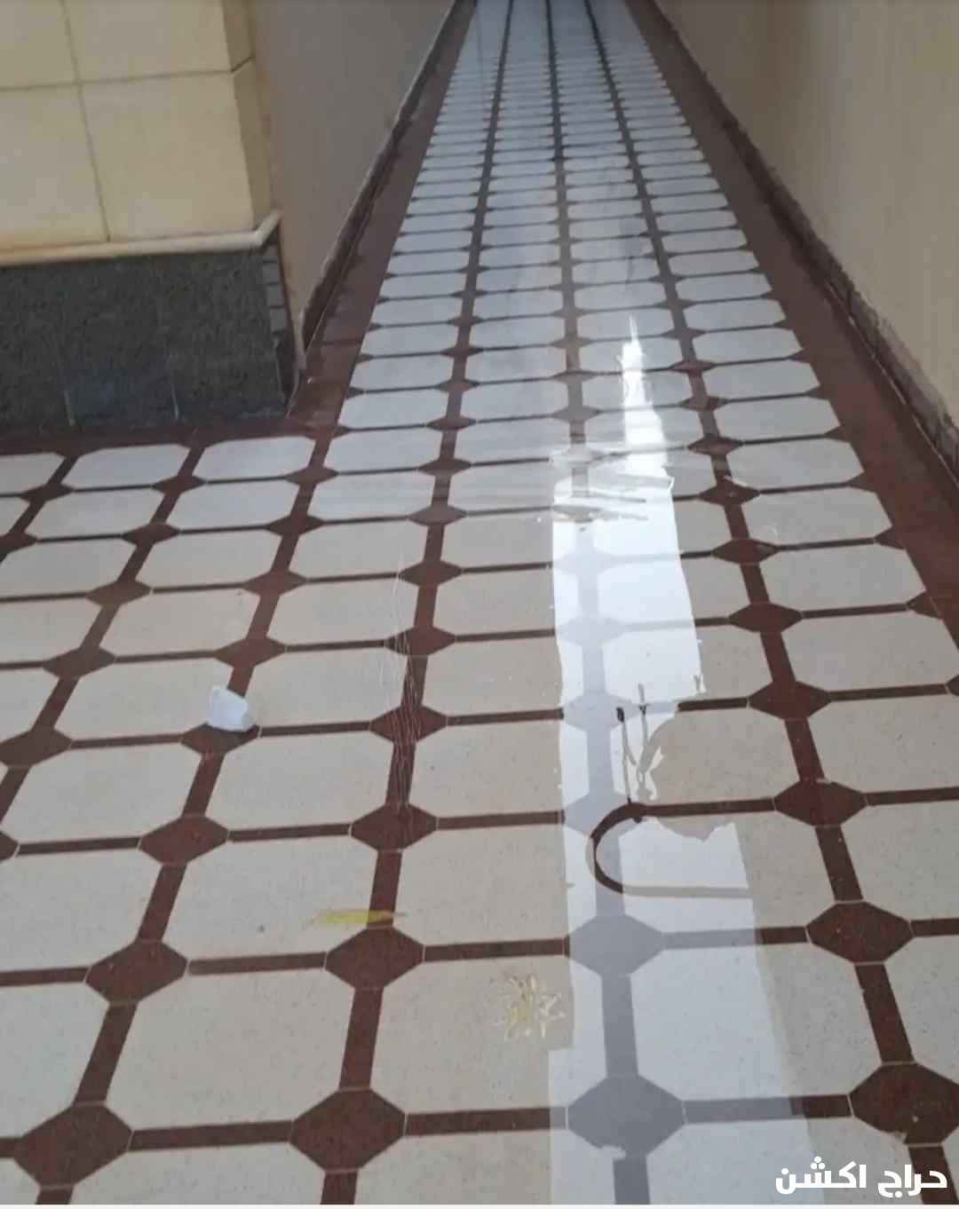 جلی بلاط روحام سرامیک تلمیع تنظیف شوعل میا میا سعر مناسب 