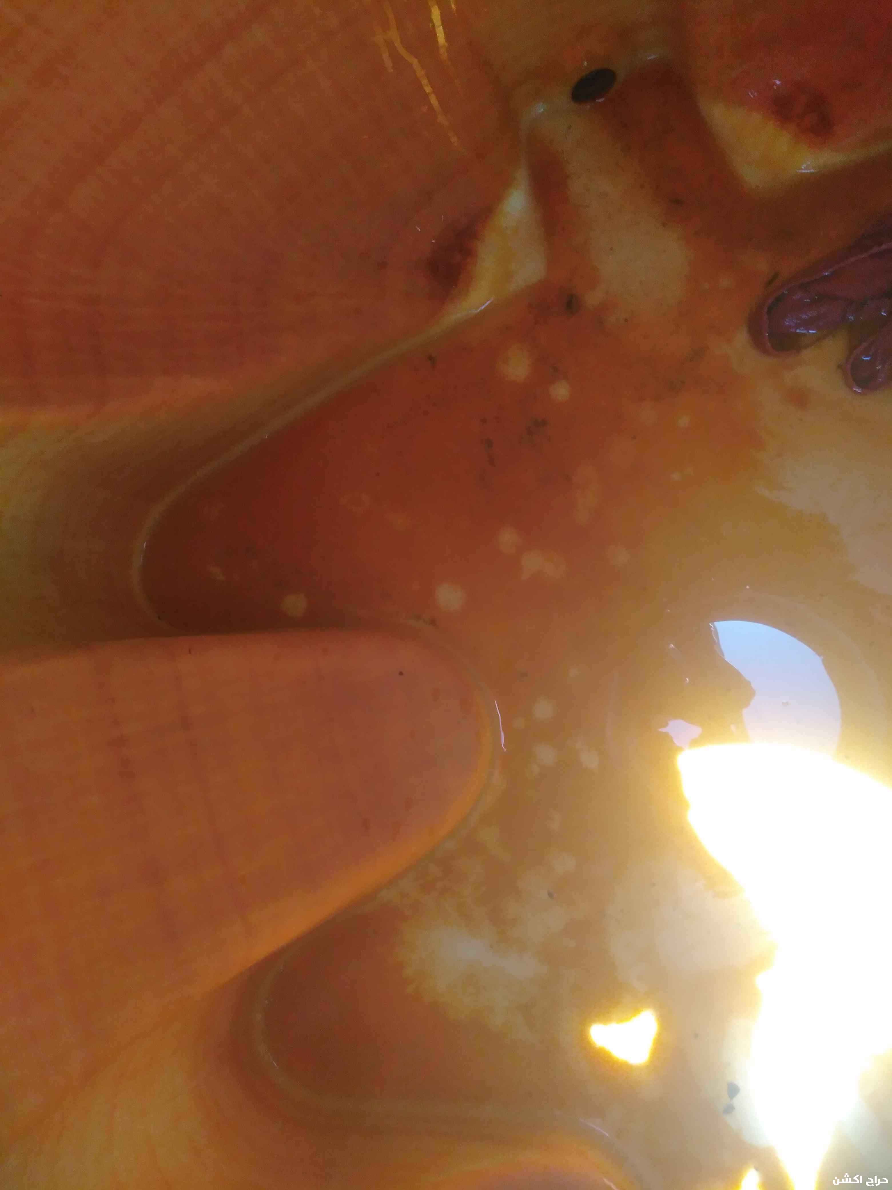 شركة كلين لنظافة العامة