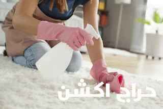 شركه تنظيف وغسيل كنب مجالس مكيفات خزانات جلي سراميك مكافحه حشرات تنظيف شقق وفلل
