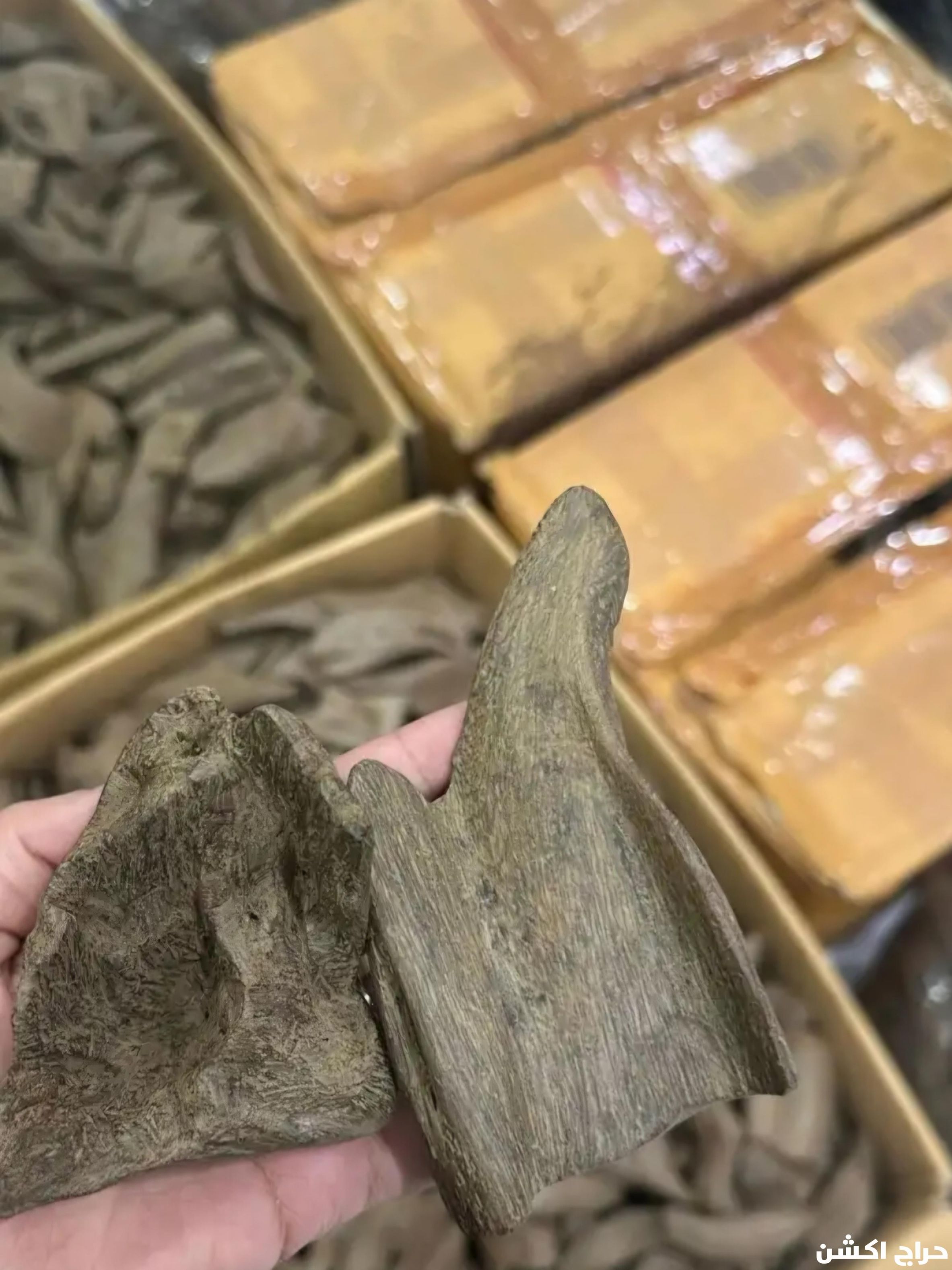 عود كمبودي كلمنتان عود ازرق