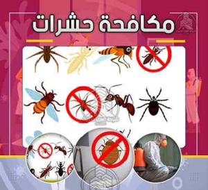 شركة مكافحة حشرات بمكة