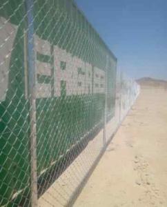 الرياض