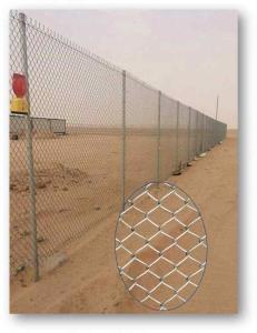 الرياض 