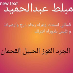 مبلط حميد 