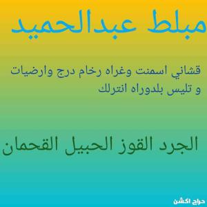 مبلط عبدالحميد 