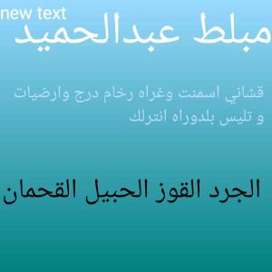 مبلط عبدالحميد 
