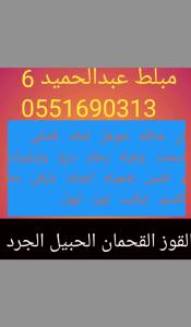 مبلط عبدالحميد 