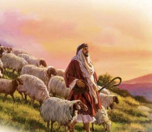 راعي غنم الجنسية باكستاني 