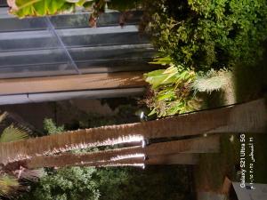 فني كهرباء وسباكه