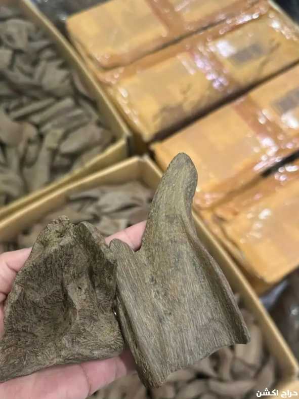 عود كمبودي كلمنتان عود ازرق
